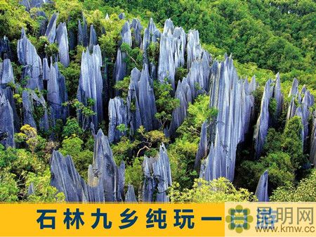 c48e9ae52e2b8f227c0576bfdaf9f00e_副本 c48e9ae52e2b8f227c0576bfdaf9f00e_副本